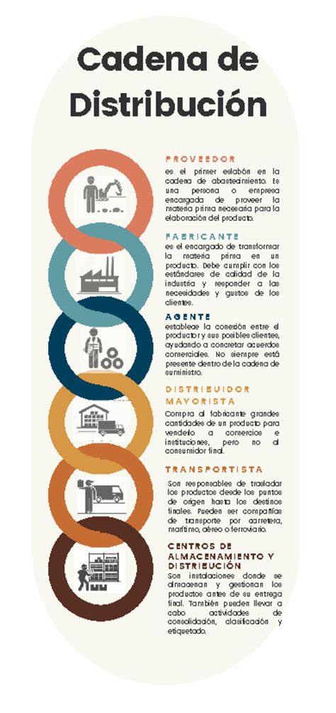 Infografica de cadena de distribución