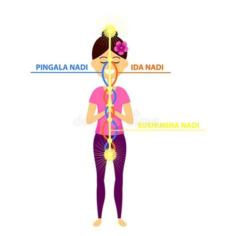 Ilustración de nadis Ida, Pingala y Sushumna conectando chakras