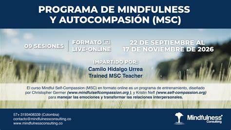 Gráfico de camino de mindfulness y compassion