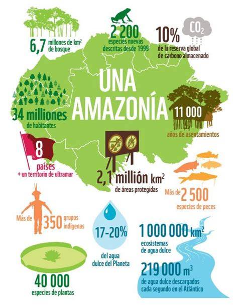 mapa de biodiversidad amazónica y rutas de tambor