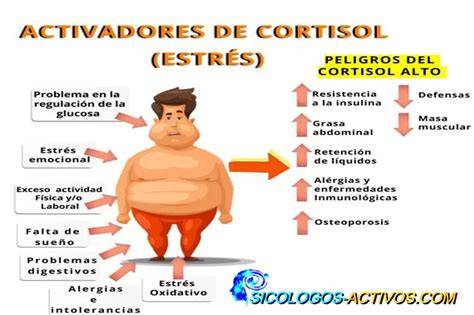 gráfica de cortisol y estrés reducidos con Yoga Nidra