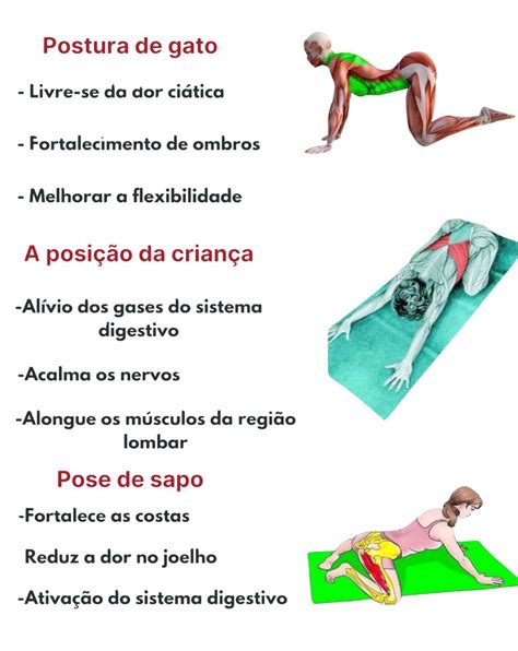 visualizando posturas clave para abdomen