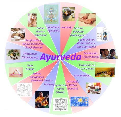diagnostico ayurvedico liguria imagen de diagnóstico