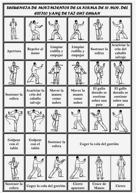 diagrama de flujo del Tai Chi y sus principios
