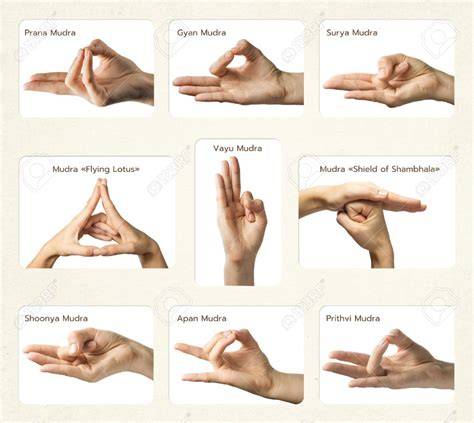 imagen mudras corazón padma mudra