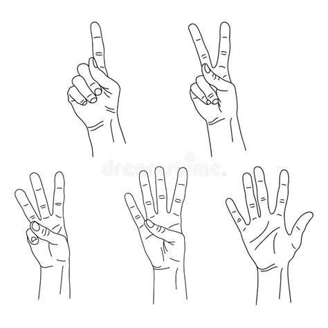 illustrazione delle dita rappresentanti i cinque elementi