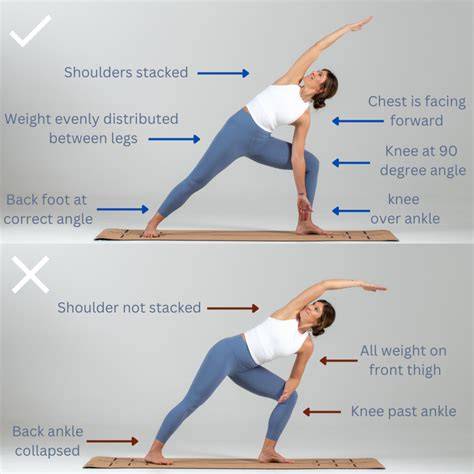 yoga body alignment height muscles
