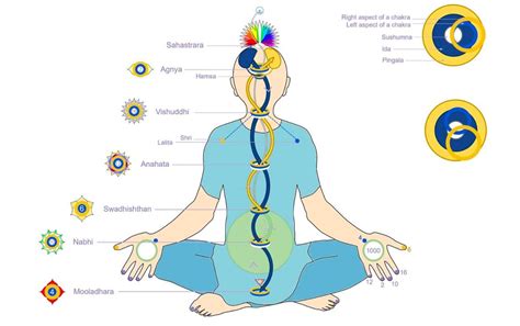 kriya yoga flow diagram
