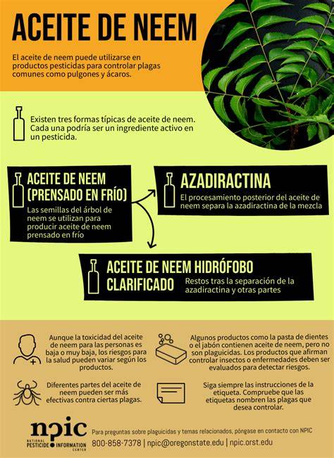 diagrama de Neem de los Yogasutras