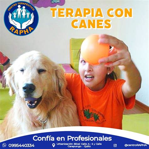 infografía sobre terapias caninas integrativas