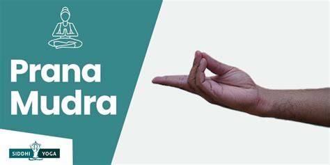 Gyana Mudra y Prana Mudra en meditación