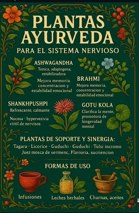infografico_procesos_hierbas_ayurvedicas