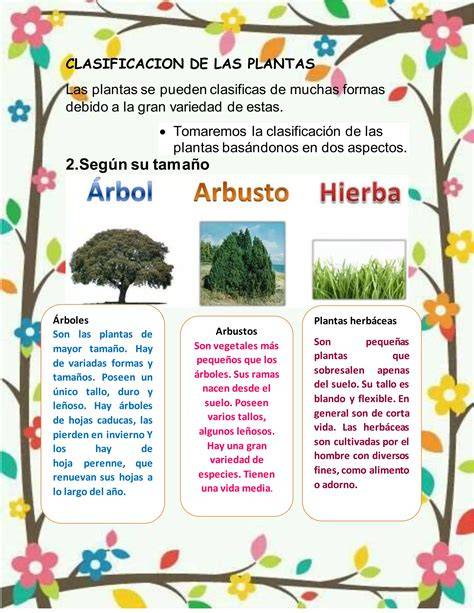 tabla_comparativa_uso_hierbas