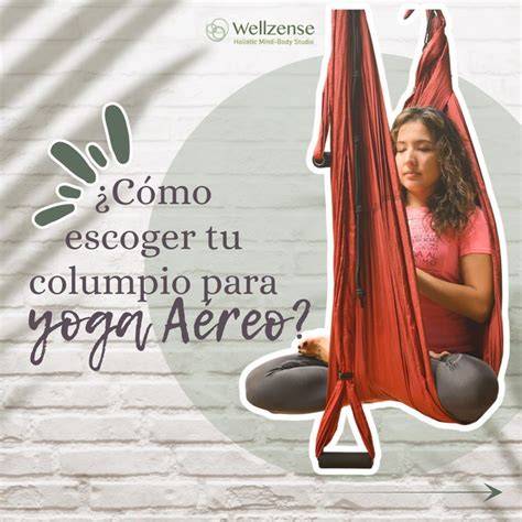 inspiración de estudio de yoga aéreo en casa