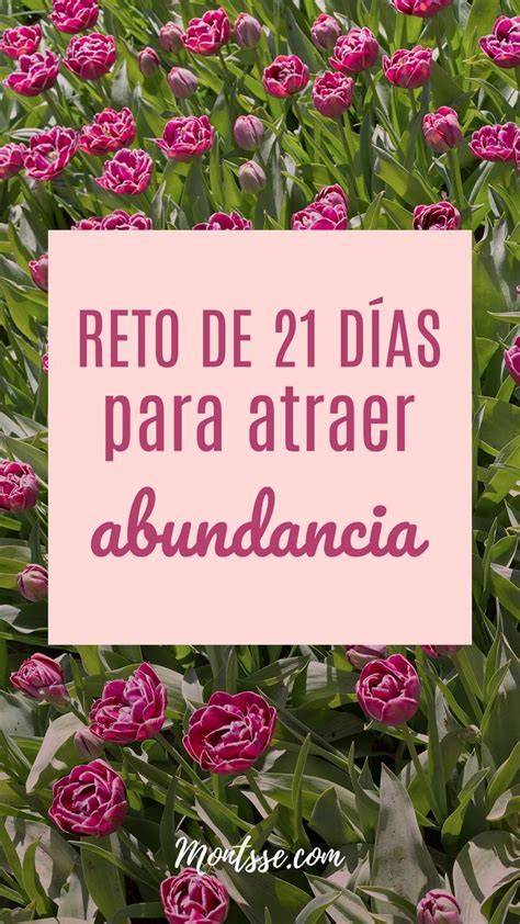 infografía resumen de 21 días de abundancia