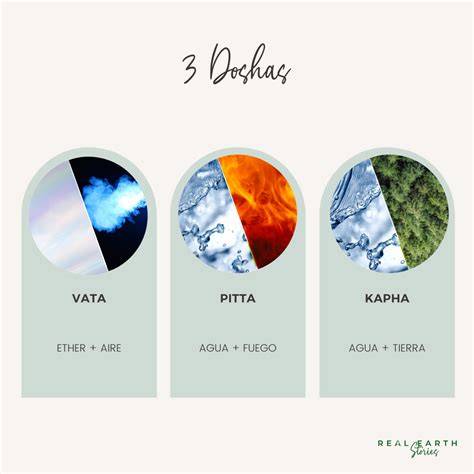 Infografía de los tres doshas y prakriti