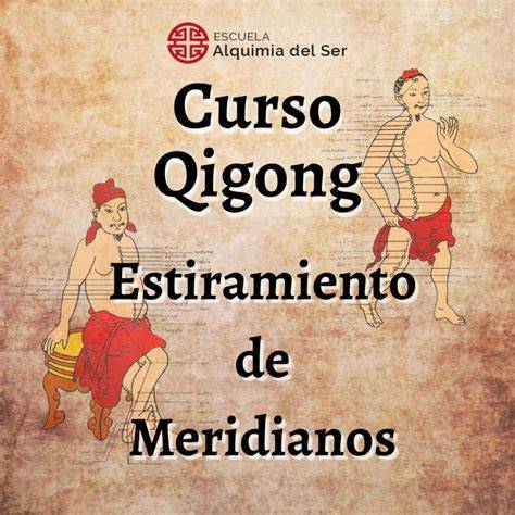 diagrama meridianos Qigong