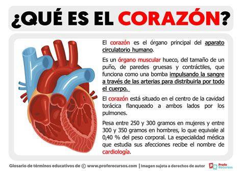 concepto del chakraAnahata y corazón