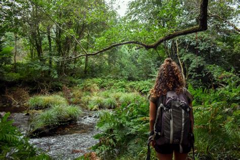 Ruta de senderismo por el bosque del Pirineo