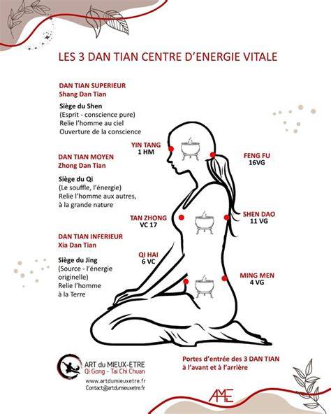 visualizacion interna cuerpo dan tian