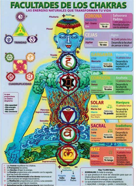 Ilustración de los Cuori Gemelli y sus centros energéticos