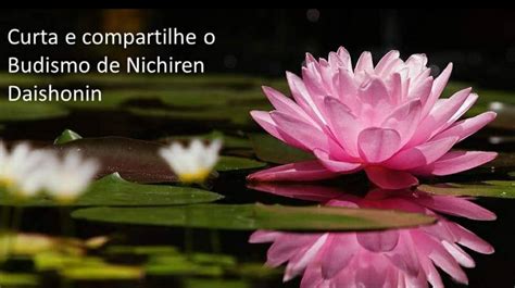 Nichiren Budismo Lotus Sutra gráfico