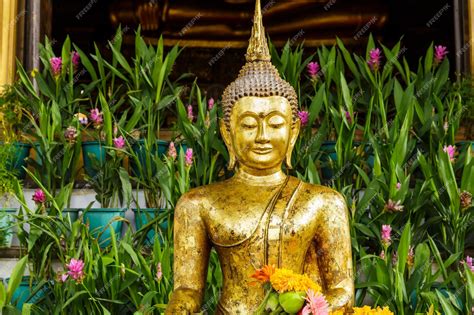 imagen de la estatua de Buda natal en bronce dorado