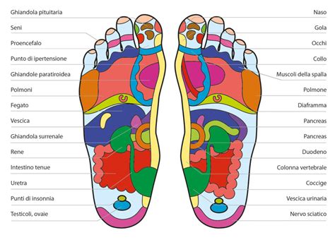 Riflessologia plantare e mappa del piede
