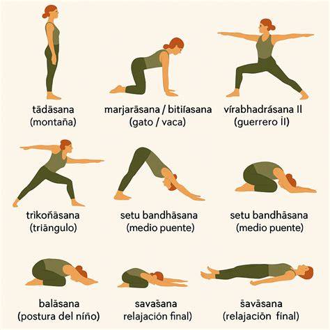 diagrama de posturas de meditación usadas en anime
