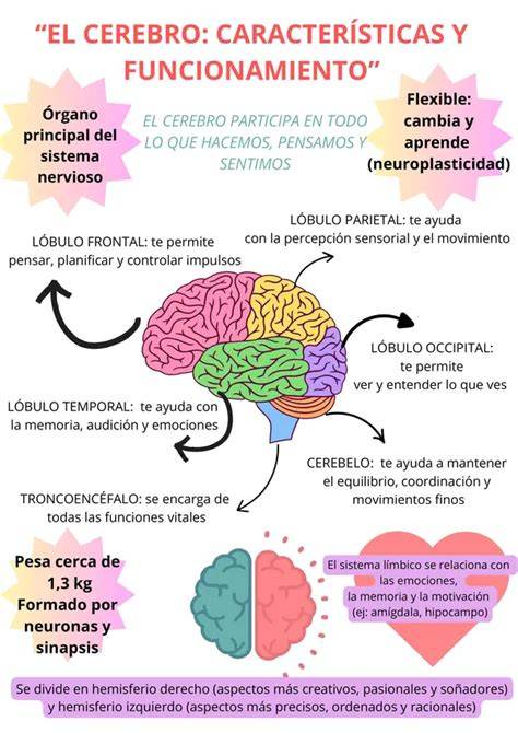 infografía de cerebro durante prácticas espirituales