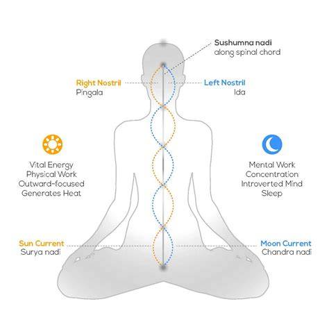 nadi channels purification diagram