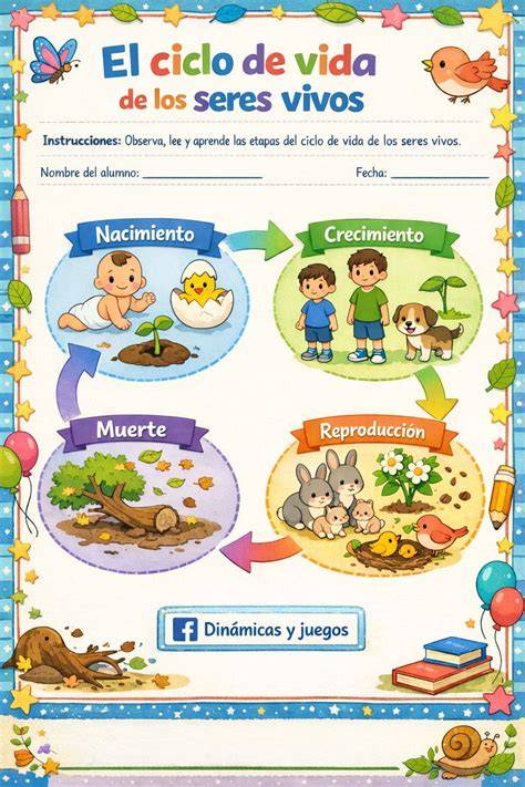 Gráfica de ciclo vida y muerte
