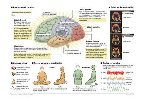 infografía de meditacion tantra y sentidos