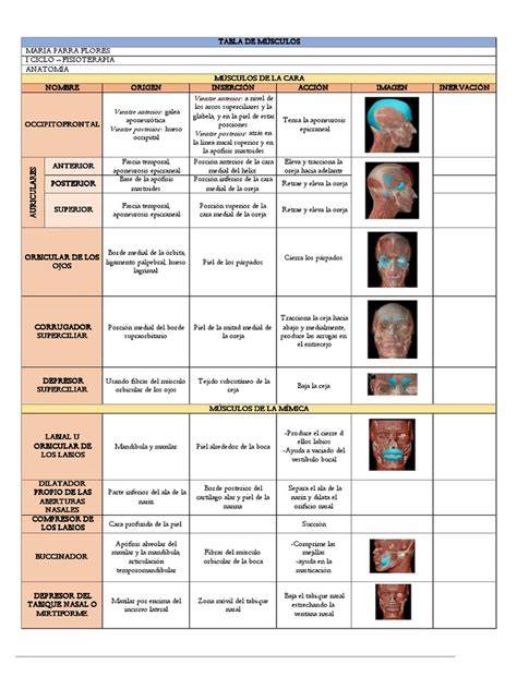 tabla de músculos faciales y ubicaciones