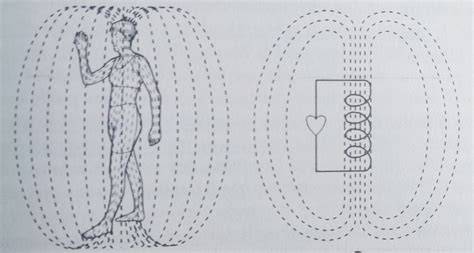campo electromagnético del corazón (infografía)