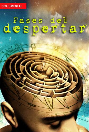 gráficos sobre fases del despertar y quietud