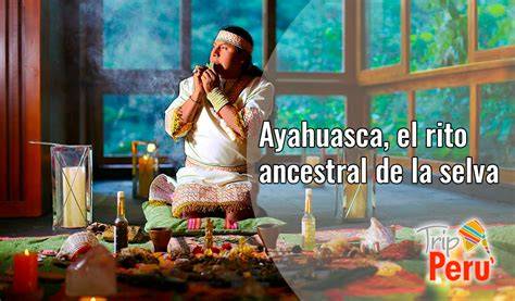 infografía de sustancias del rito ayahuasca cocaína