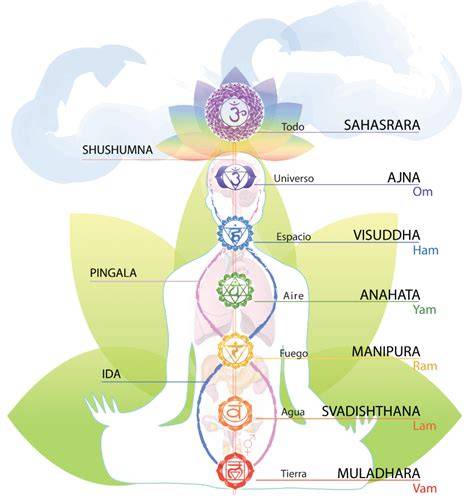 Gráfica de Dhyani Mudra y su relación con los chakras