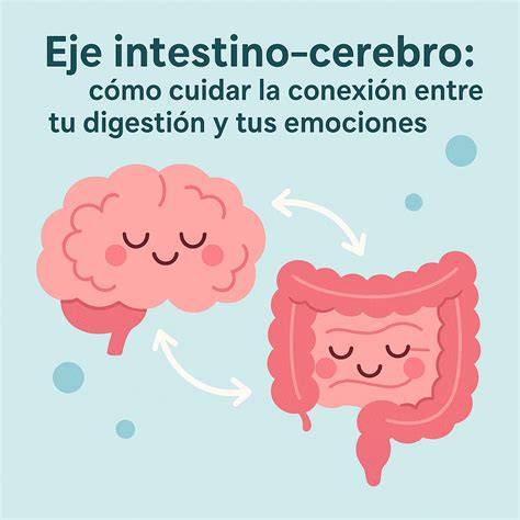 Gráfica de eje intestino-cerebro y emociones