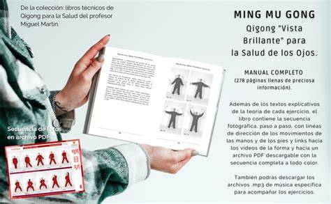 Gráfico de flujo de Ming Mu Gong (ojos, ojos y cerebro)