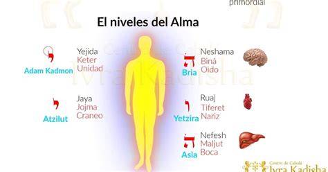 Guía visual de las etapas del alma y sus niveles