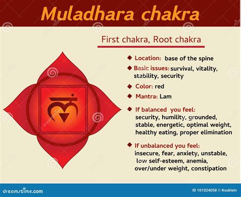 Diagrama del Muladhara y su simbolismo