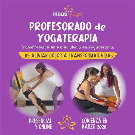 infografÃ­a de enfoques de Yogaterapia