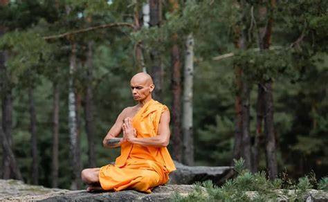 danza de la interconexión y la meditación budista