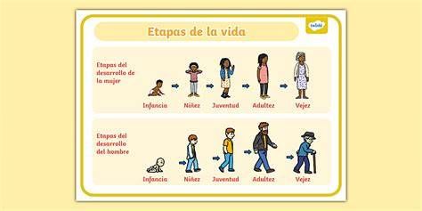 esquema visual de las etapas de los ejercicios