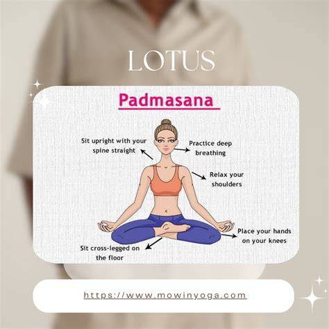 Gráfico ilustrando Padmasana y variantes (loto completo y medio)