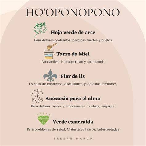 esquema de las 4 frases de Ho'oponopono
