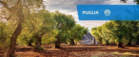 enoteca_puglia_territorio_chakra