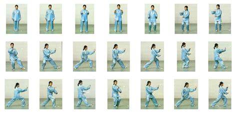 Tai Chi movimientos y estilo Yang