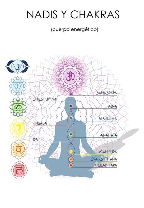 esquema de chakras y nadis para despertar kundalini